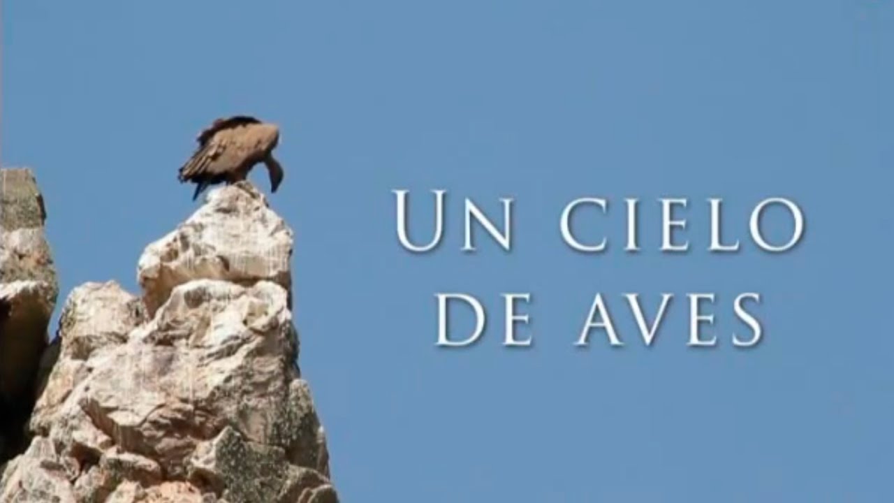 Extremadura: Un cielo de aves