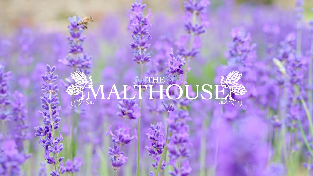 The Malthouse | Luxury Accommodation | Norton St Philip, Somerset