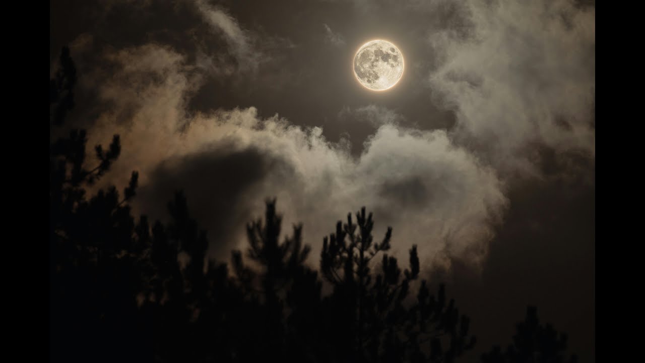 Summer Night Nature Sounds – 5 Hours Deep Sleep Ambience (No Music)