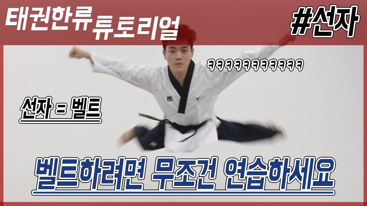 선자? 이건 초등학생도 쉽게한다.. [태권한류_튜토리얼]