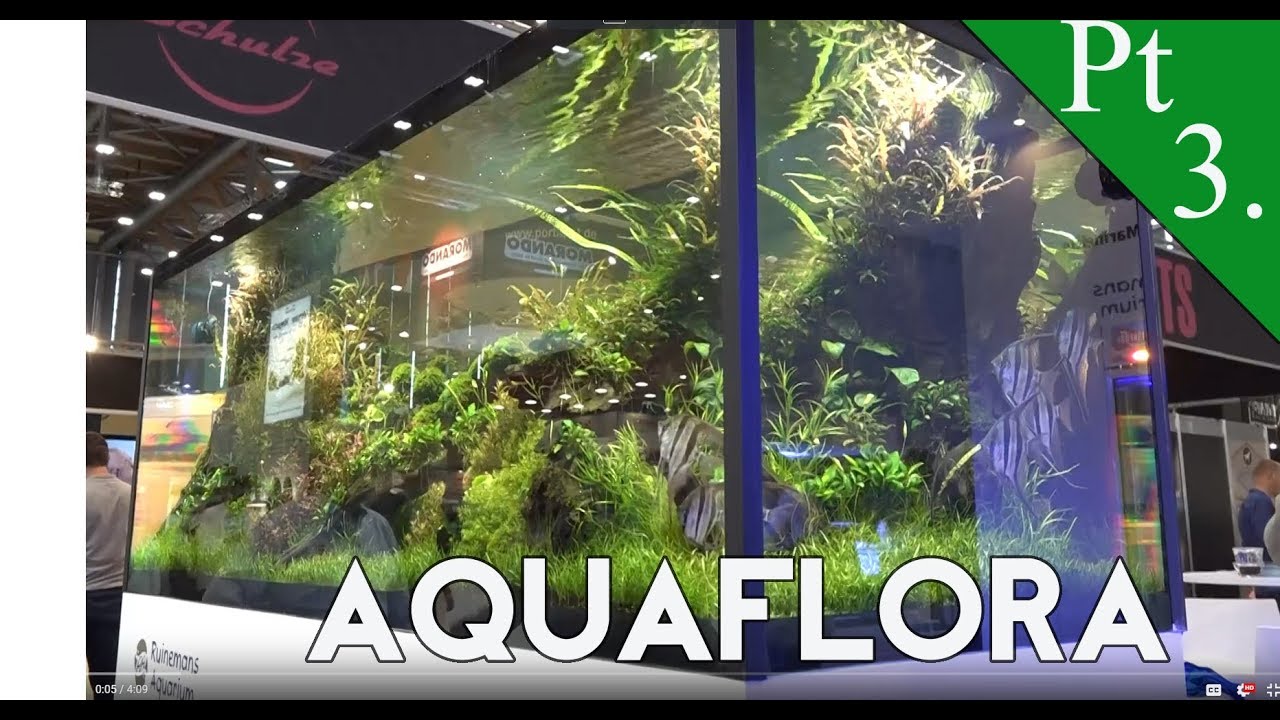 How Do They Do It? Aquaflora 3 of 3