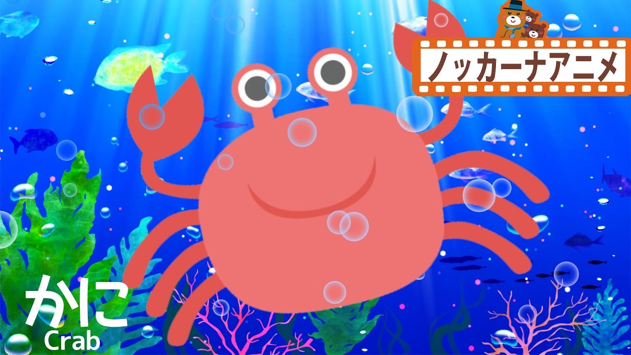 海の生き物がいないいないばぁっ！★子供向けアニメ★赤ちゃんが喜ぶ動画 peekaboo baby animation