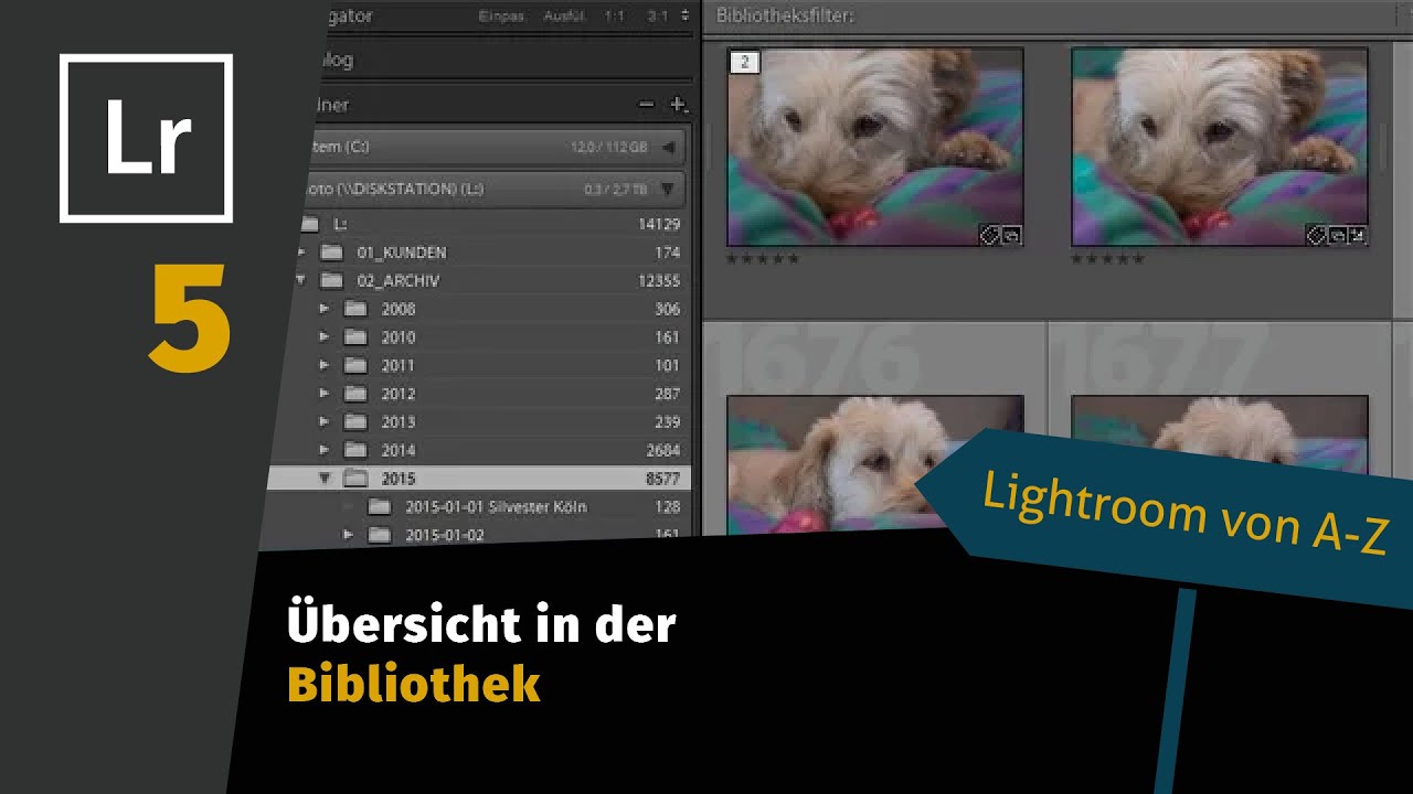 Lightroom Tutorial von A-Z Teil 5: Übersicht in der Bibliothek