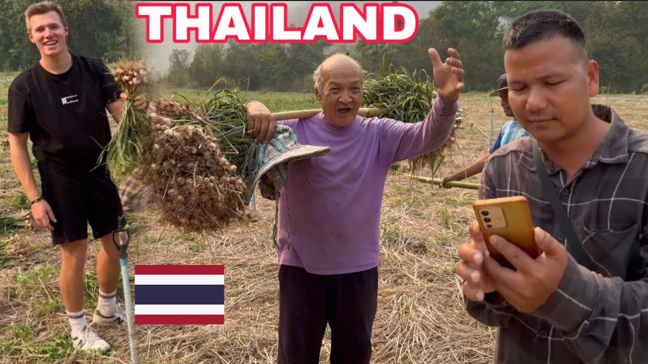 Meeting Garlic Farmers in Mae Hong Son, Northern Thailand