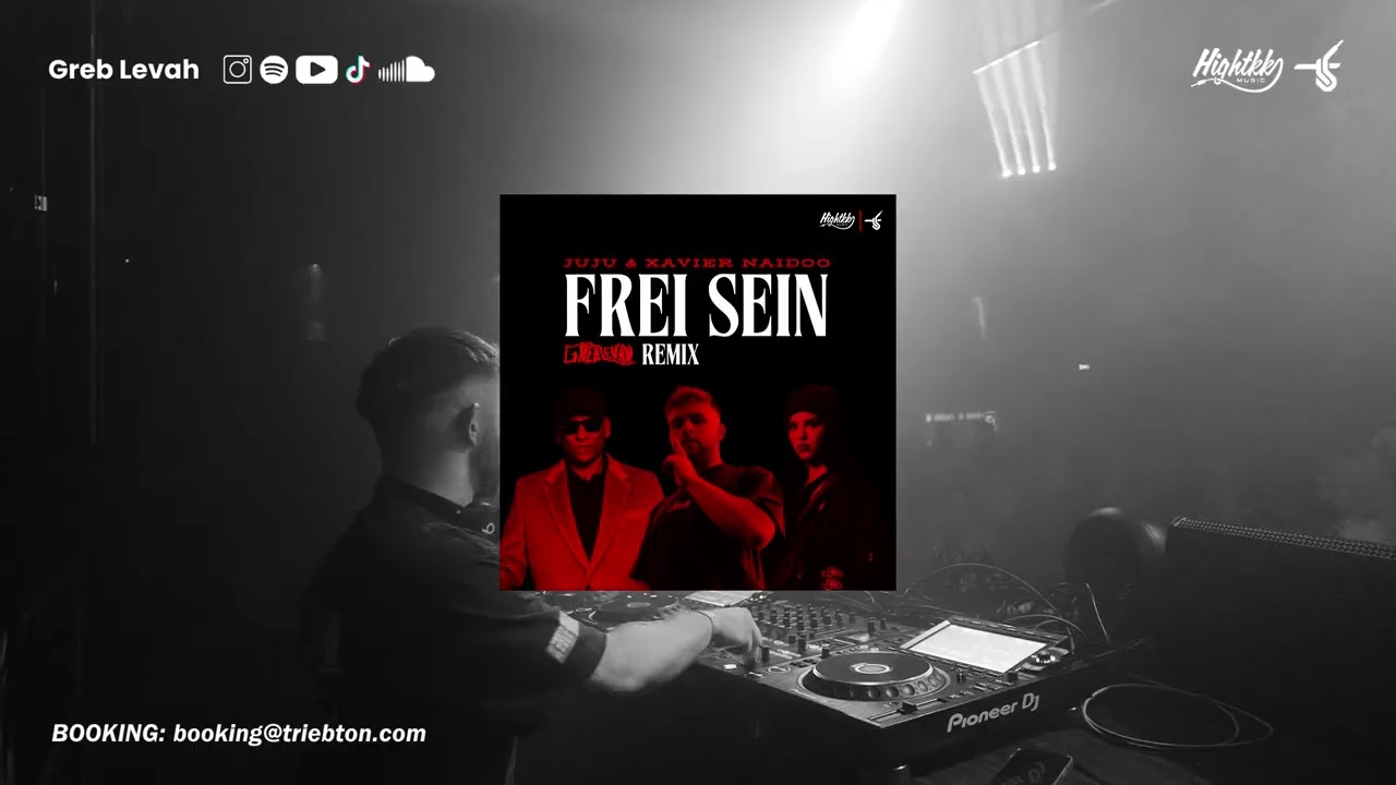 Juju & Xavier Naidoo - Frei Sein (Greb Levah Remix)