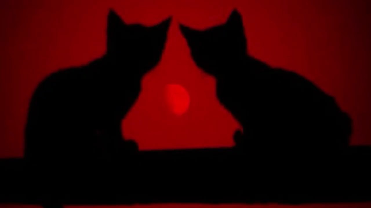 Private Hours – Soft Pulse