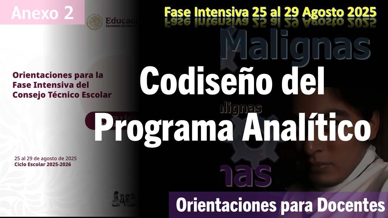 idM Anexo 2: Codise&ntilde;o del Programa Anal&iacute;tico