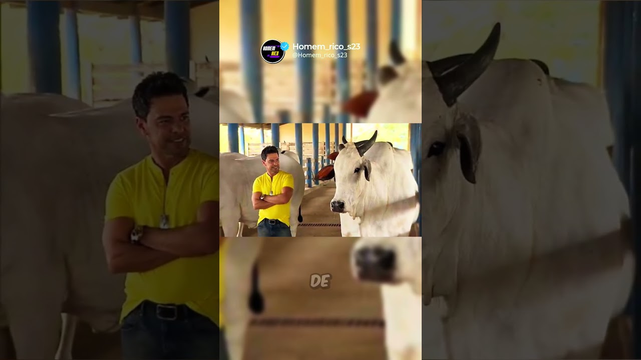 As 5 Fazendas Mais Caras de Celebridades no Brasil #famosos #fazenda #caro