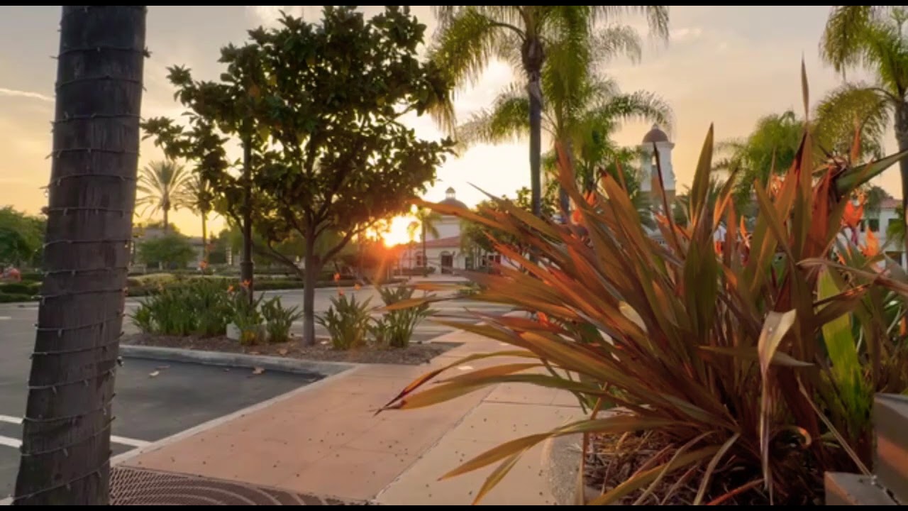 Golden Hour Calm — Breathe, Slow Down, and Be Here #relaxingmusic #goldenhour 