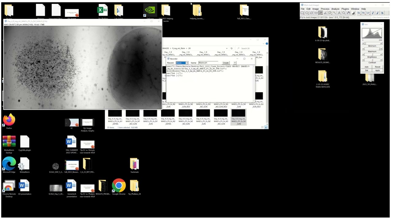 1. How to create a macro: Fiji image analysis: How to automate: batch processing