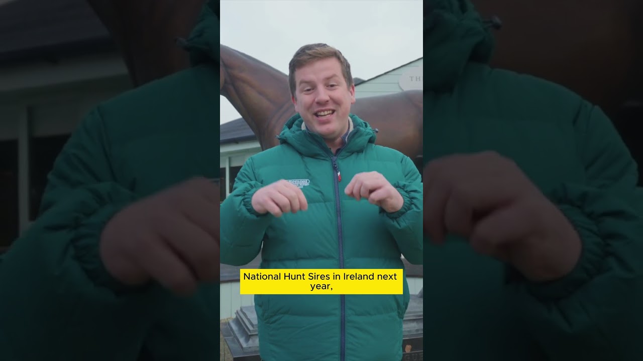Why buy shares in our Jeu St Eloi filly?