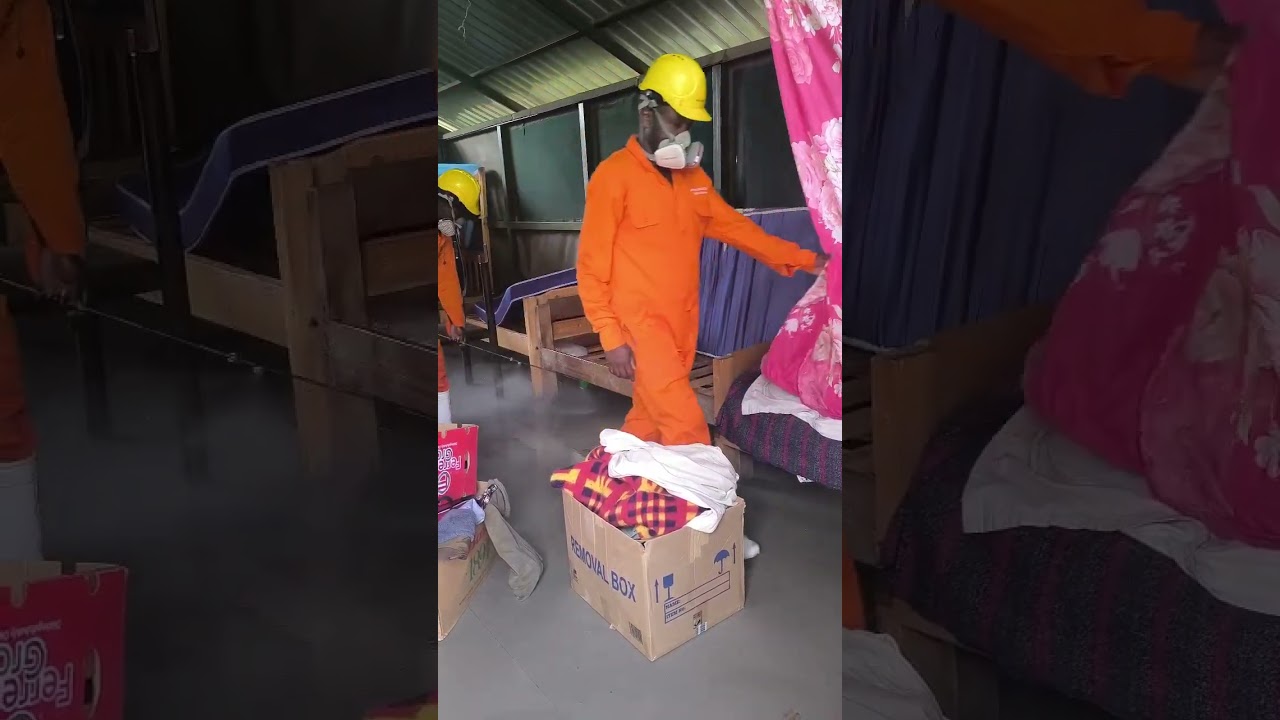 Bedbug Fumigation Service in Kenya #shorts 