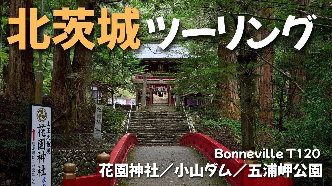 【北茨城ツーリング】花園神社でマイナスイオンを浴びる | Bonneville T120