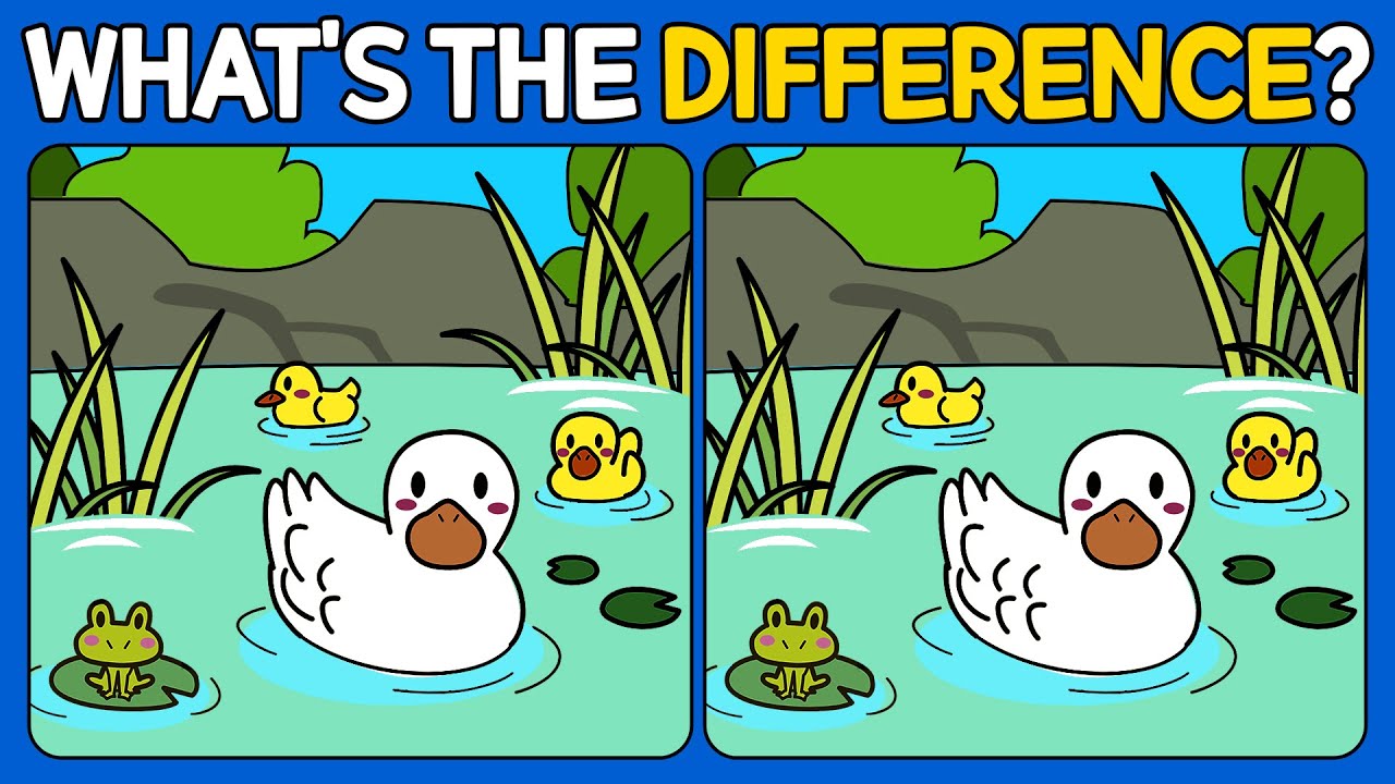 🧠🧩Spot the Difference | Puzzle Games 《A Little Difficult》
