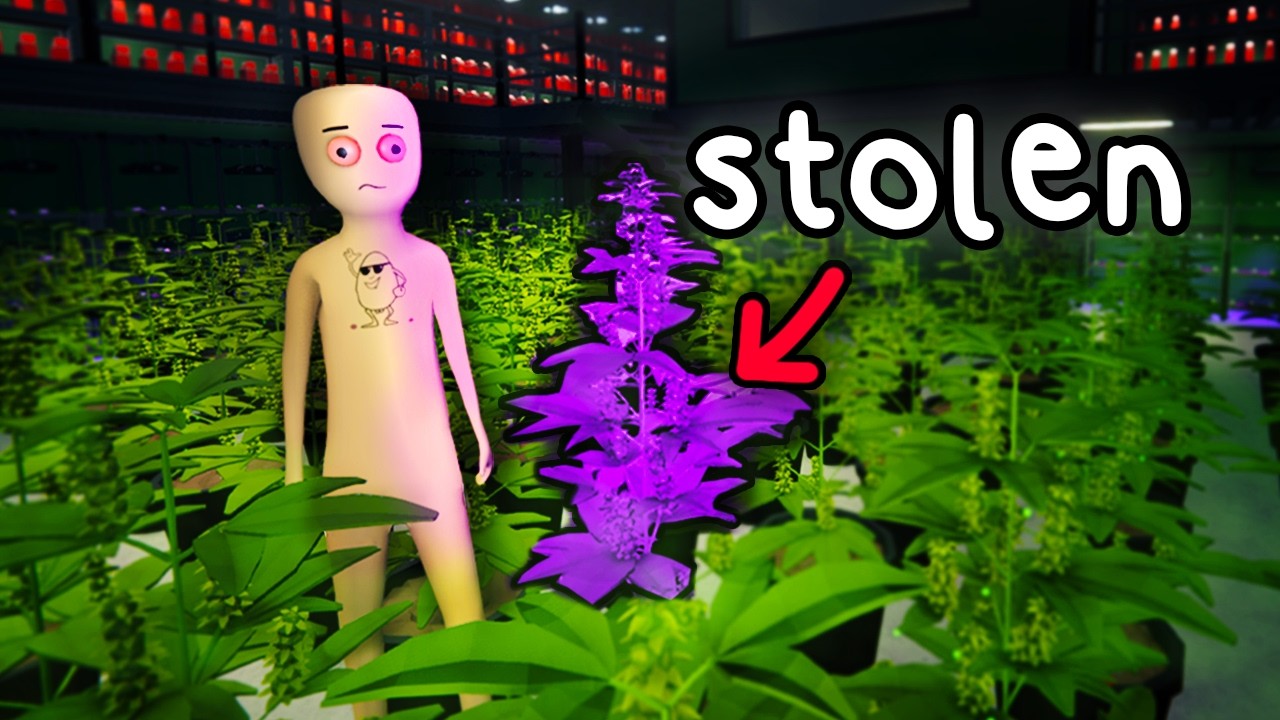 I built a drug empire by only stealing from my customers