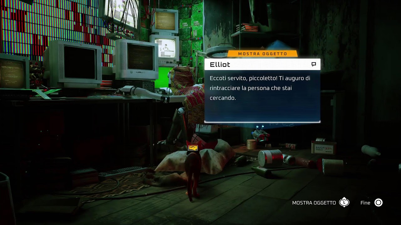 Stray vita a 4 zampe