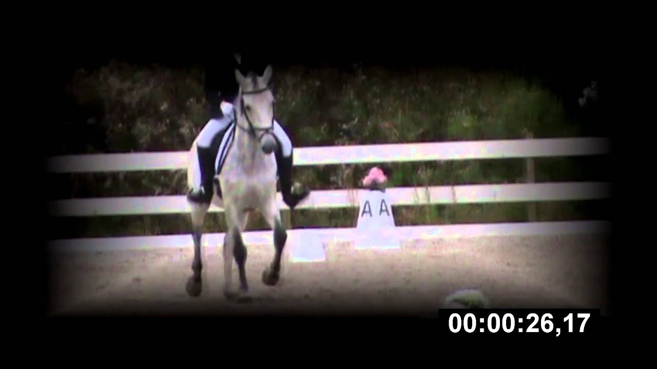 hest.no konkurranse: Reklame