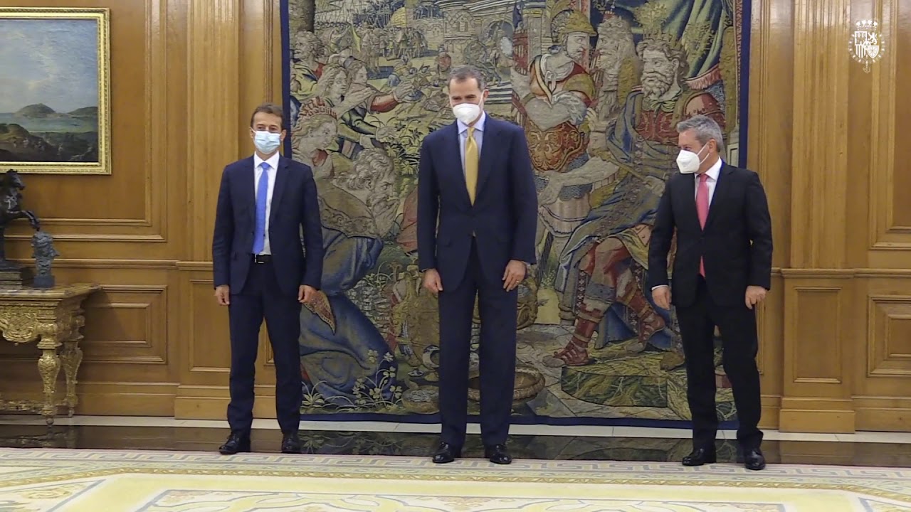 Don Felipe recibe en audiencia al consejero delegado de Airbus, Guillaume Faury