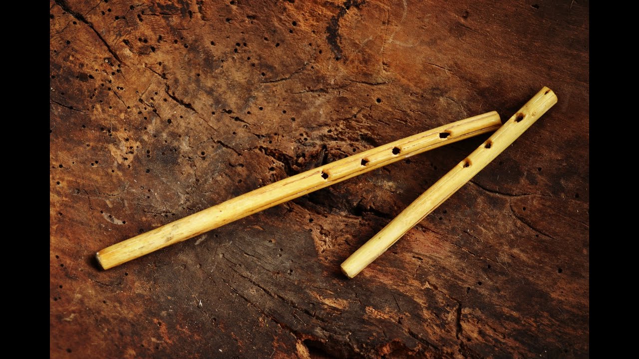 HUDEBNÍ NÁSTROJE ZE STONKU KOPŘIVY DVOUDOMÉ / MUSICAL INSTRUMENTS MADE OF NETTLE STEM