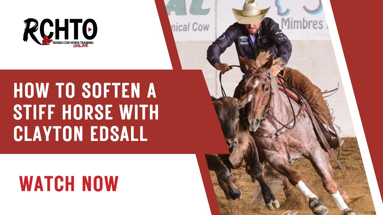 How To Soften A Stiff Horse With Clayton Edsall