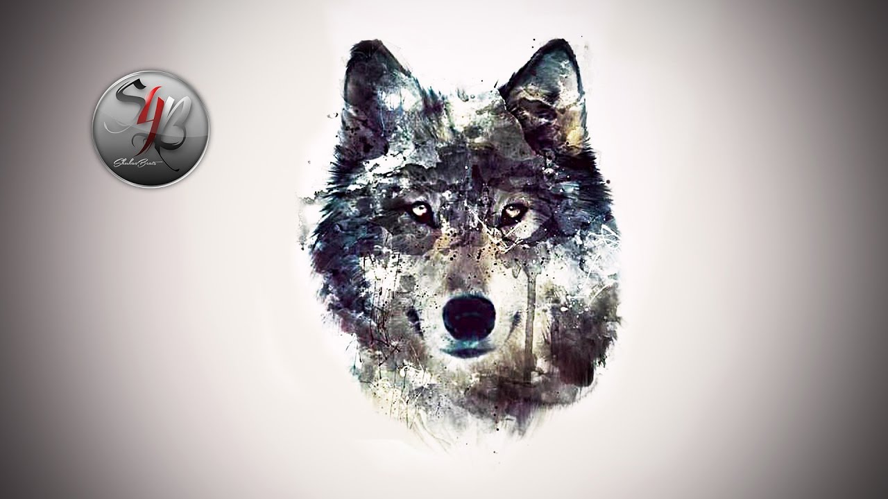 Mexx - Einsamer Wolf (Audio) / Prod. by Shuka4Beats | Hip Hop & Rap Song
