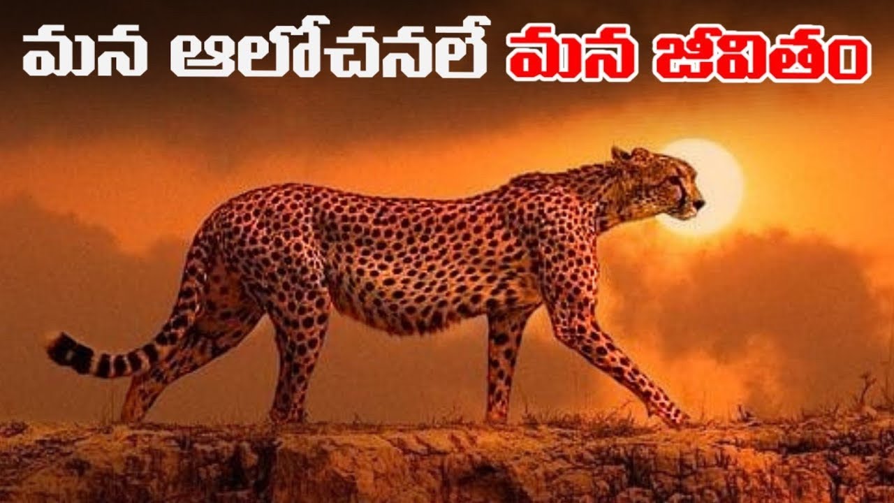 నీ జీవితాన్ని నువ్వే మార్గదర్శివి | Million Dollar Words #203 | Voice Of Telugu