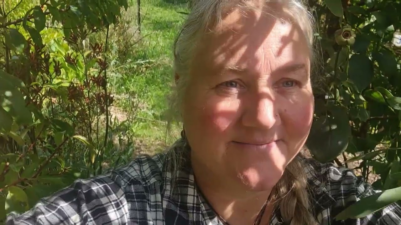 WELCOME to SUNFLOWER HILL Aussie Homestead!! Tour PART 1