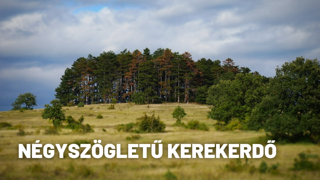 Túra a NÉGYszögletű KEREKerdőhöz