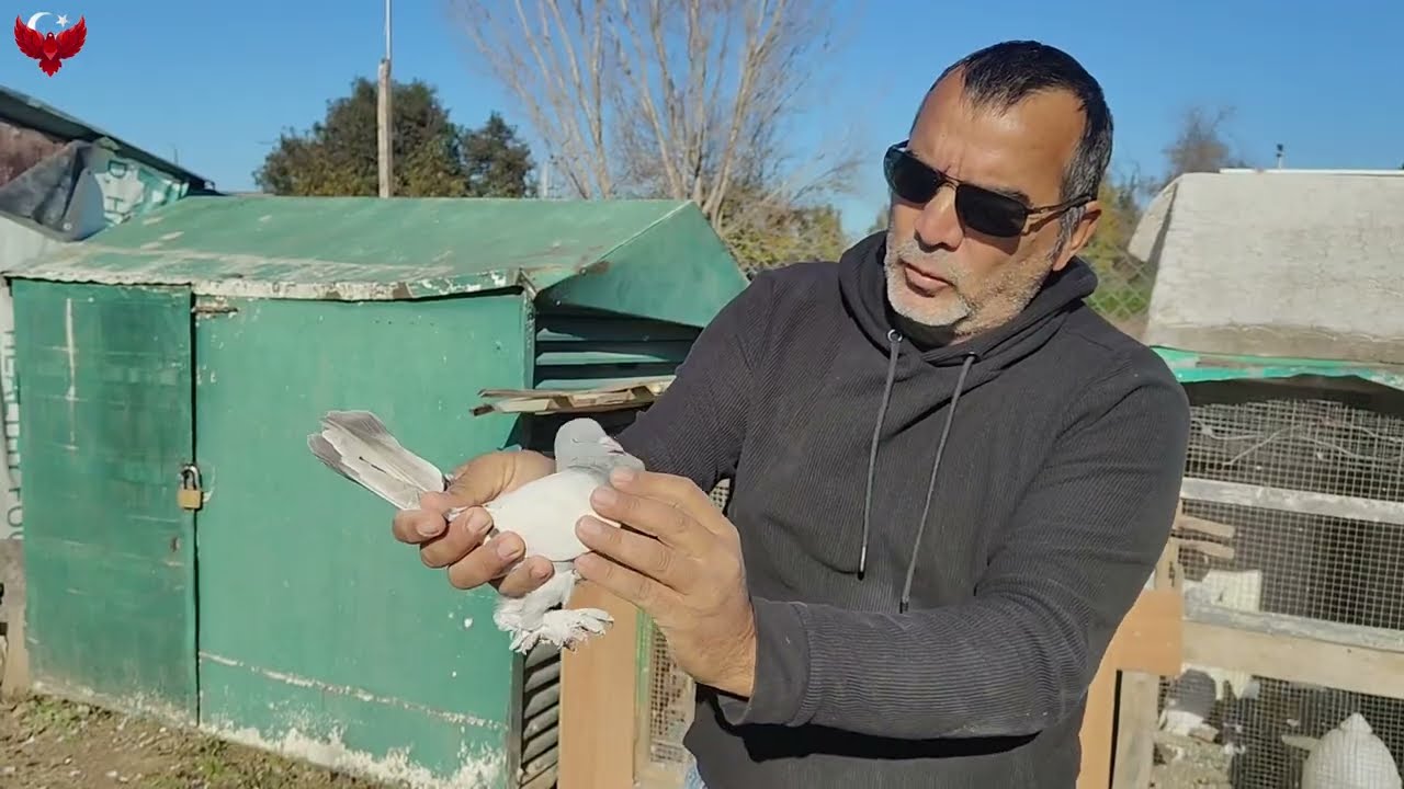 HAVADA EŞLEME YAPMANIN FAYDALARI VE SONUÇLARI SOY TAKİBİ VE SOY TUTTURMA.