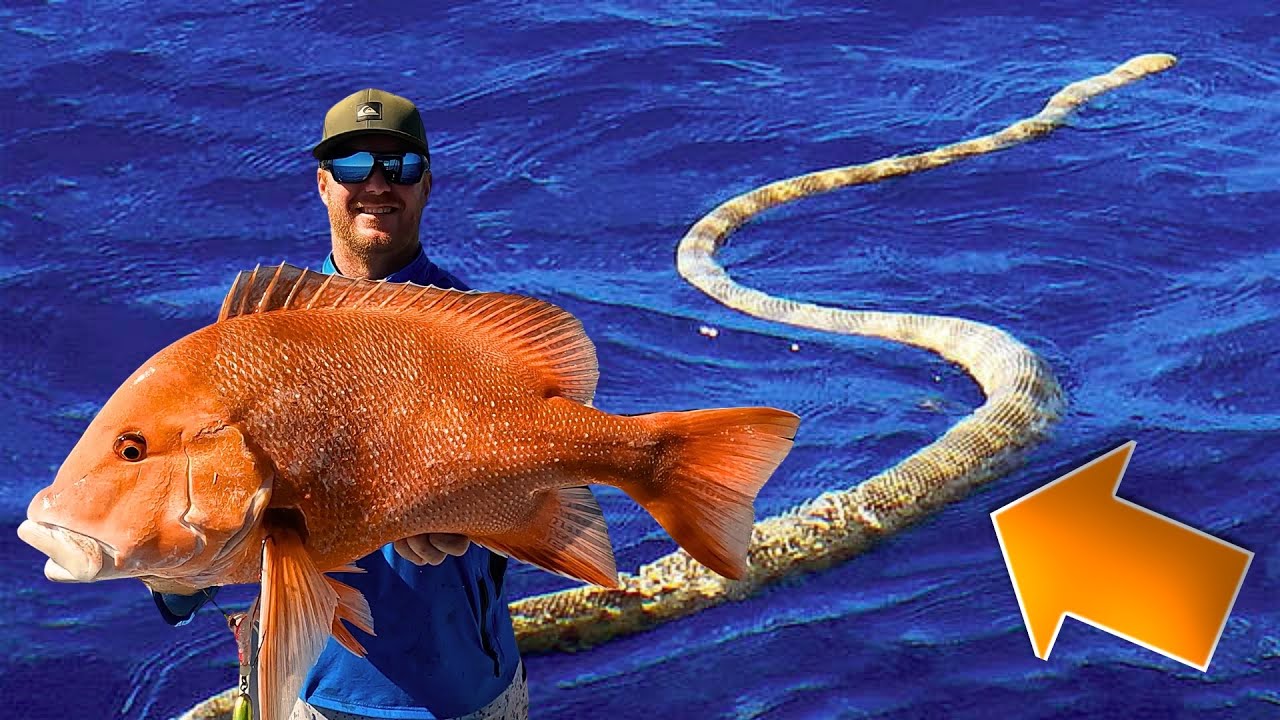 Hunting Sea snakes! How to find new fishing spots!