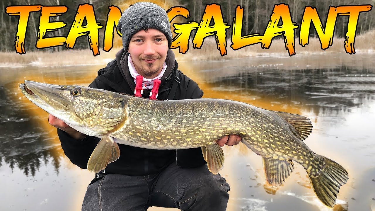 ICE FISHING PREMIERE - Fishing on Crystal Clear Ice For Pike | Team Galant