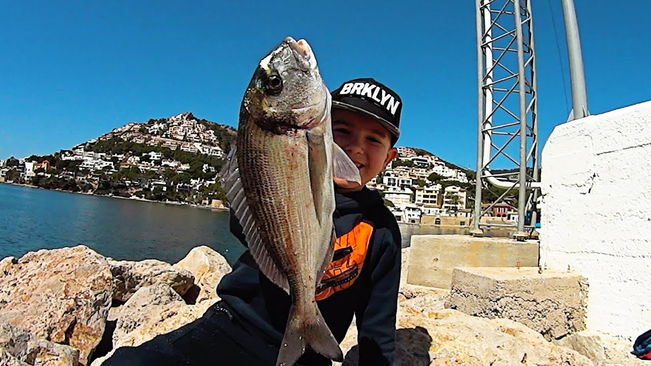 SURFCASTING con GUSANSO LLOBARRERO Y TITAS, casi todo al LLOBARRERO, incre&iacute;bles resultados!