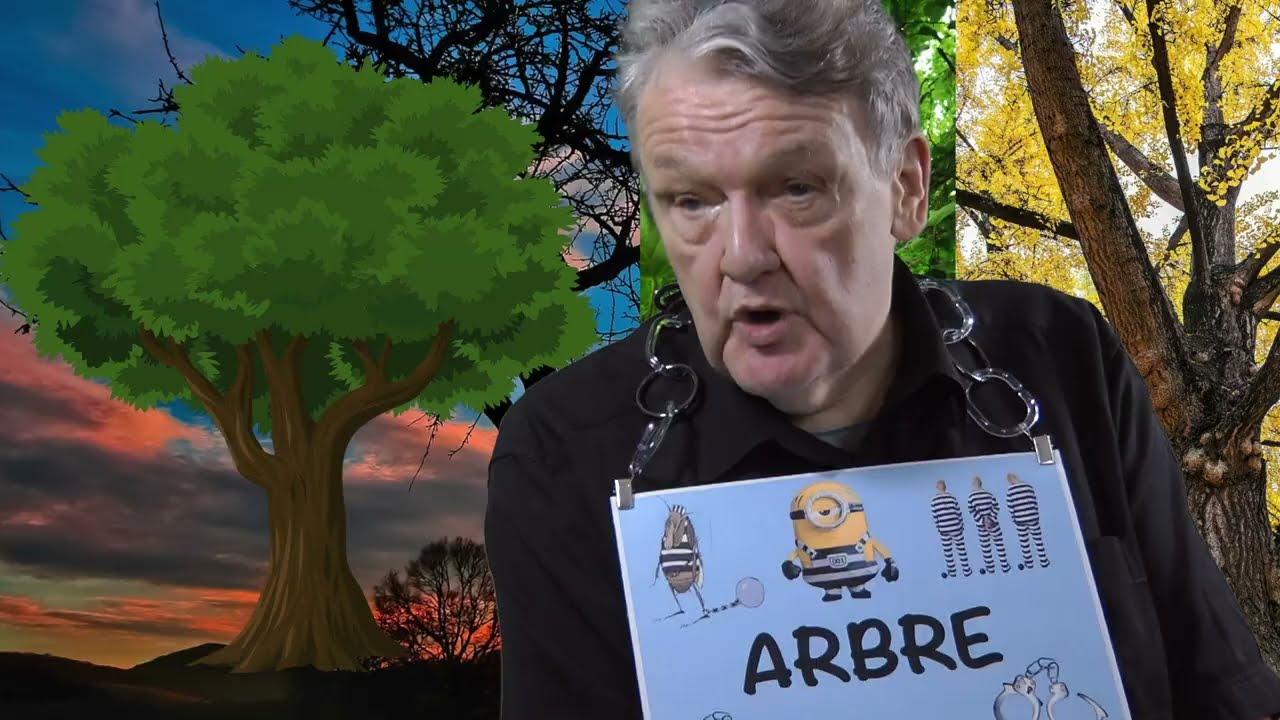 Pourquoi dit on UN arbre ? Orthogaffe.com