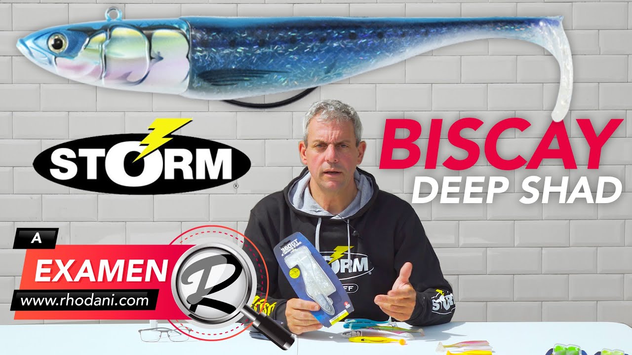 A EXAMEN 🔎 SEÑUELO 🐟 STORM BISCAY DEEP SHAD