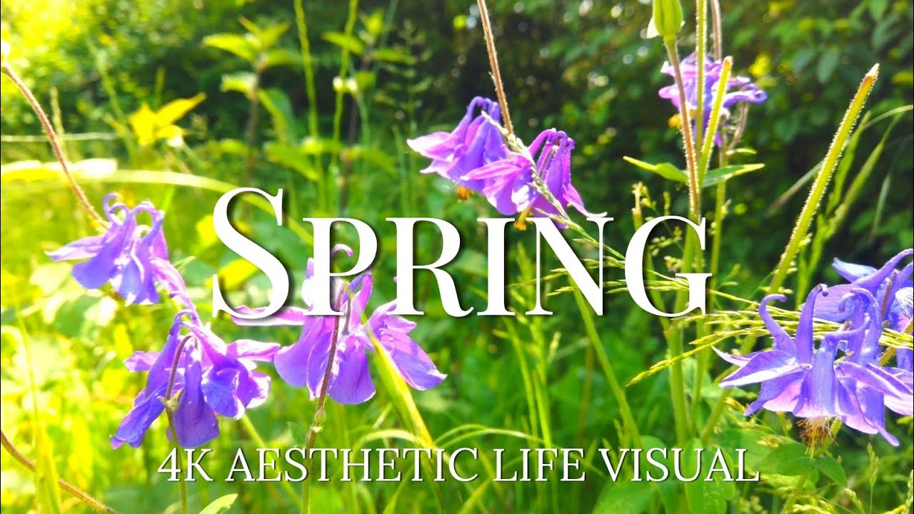 MOTIVATION FOR SPRING WALKS - 2025