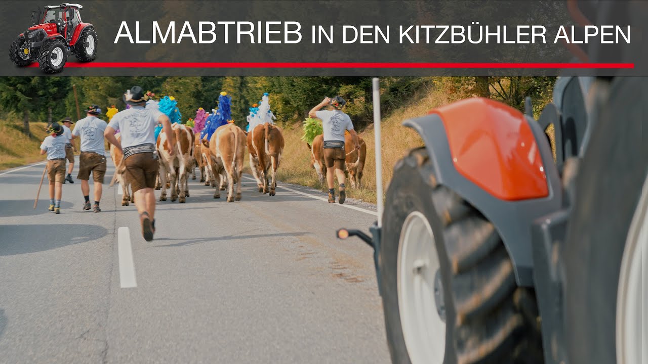 Almabtrieb mit dem Lindner Lintrac