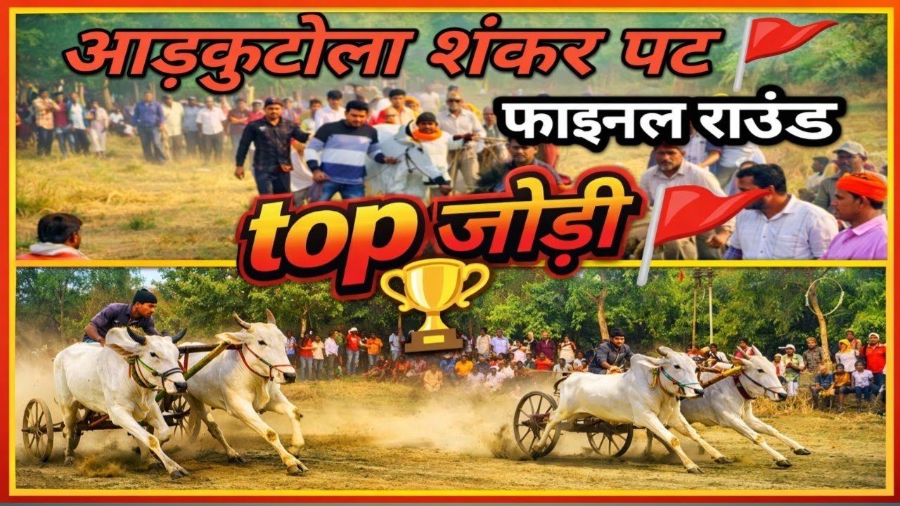 आड़कुटोला शंकर पट 🚩🐃 फाइनल दिन की सभी top जोड़ी #bailgadasharyat #viral #shankarpat #hindkesaribail 