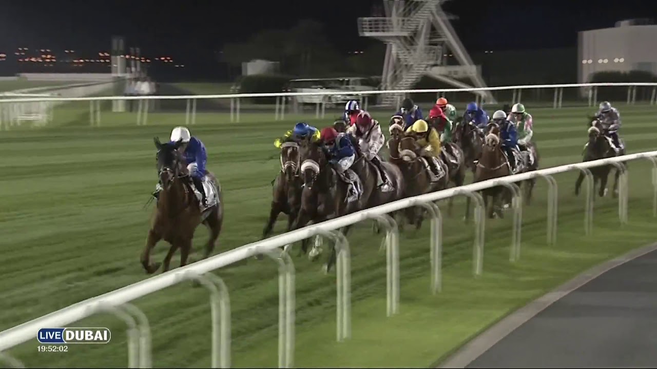 2016  Dubai Turf