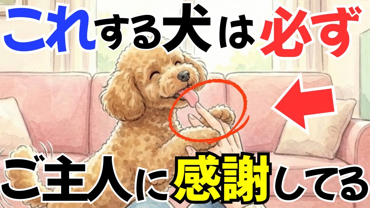 【絶対見て!】犬があなたに日頃から「ありがとう」を伝えているサイン１３選｜犬の本音