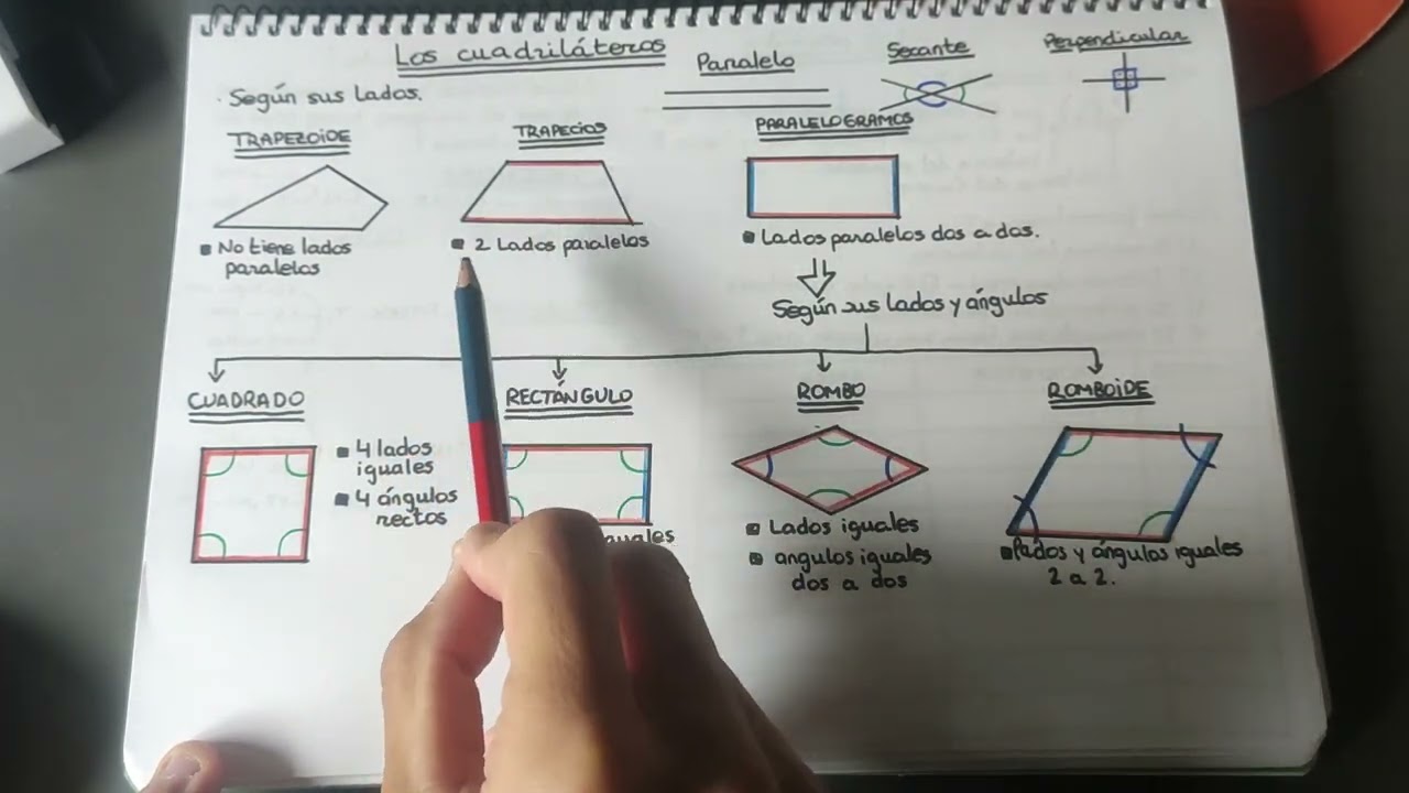 Los cuadriláteros