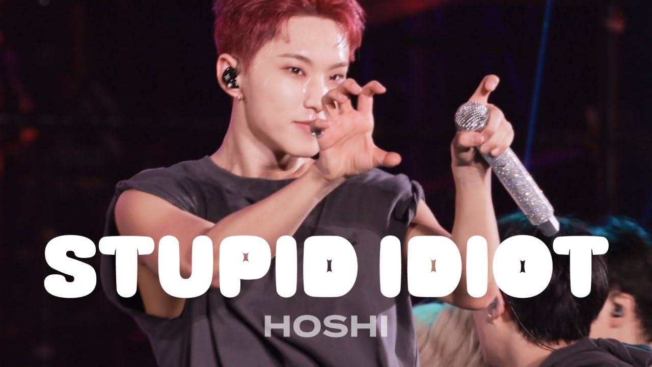 [4K] 250823-250824 HOSHI X WOOZI FAN CONCERT [WARNING] - STUPID IDIOT 광주 호우콘 호시 직캠 Hoshi fancam