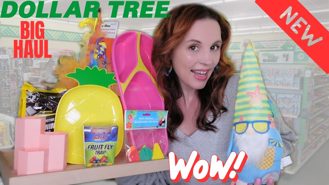 DOLLAR TREE BIG HAUL INCREDIBLE NEW AMAZING FINDS