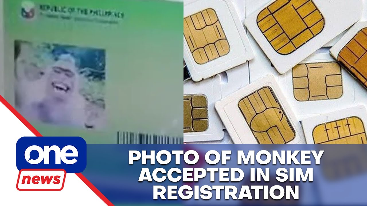 Senators lament loopholes in SIM registration