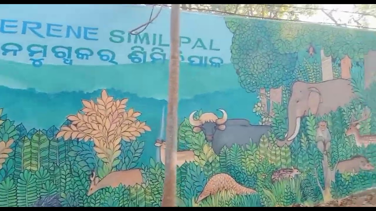 ଆସ ସାଙ୍ଗ ମାନେ ବୁଲି ଯିବା ନନ୍ଦନ କାନନ କୁ 🦈🐠🐟🐋🐳🦚🦜🐧🐓🐿️🐫🐃🫎🐆🐅🐯🦍🐒🦁🐈🦒🐘🦘🦅🦢