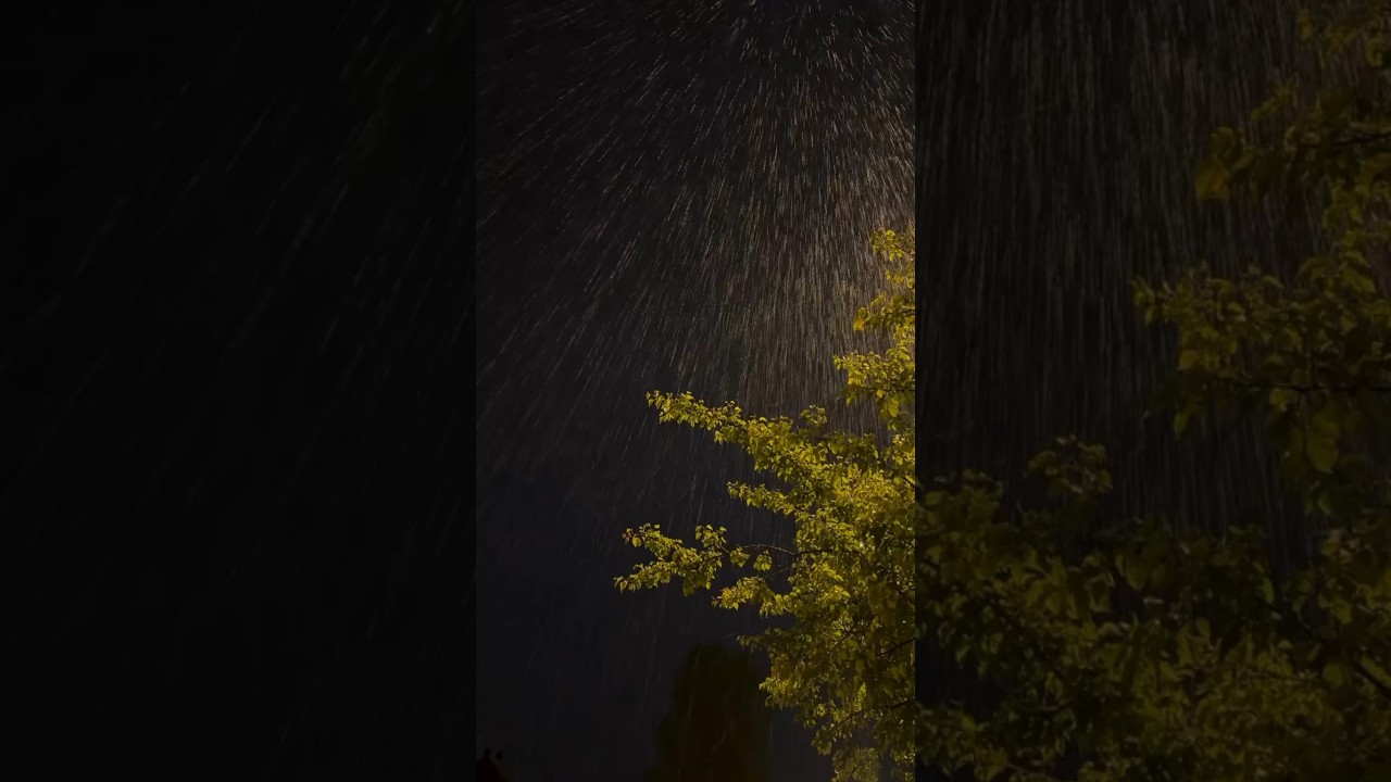 Dark Rainy Night in Nature | Relaxing Forest Rain Sounds