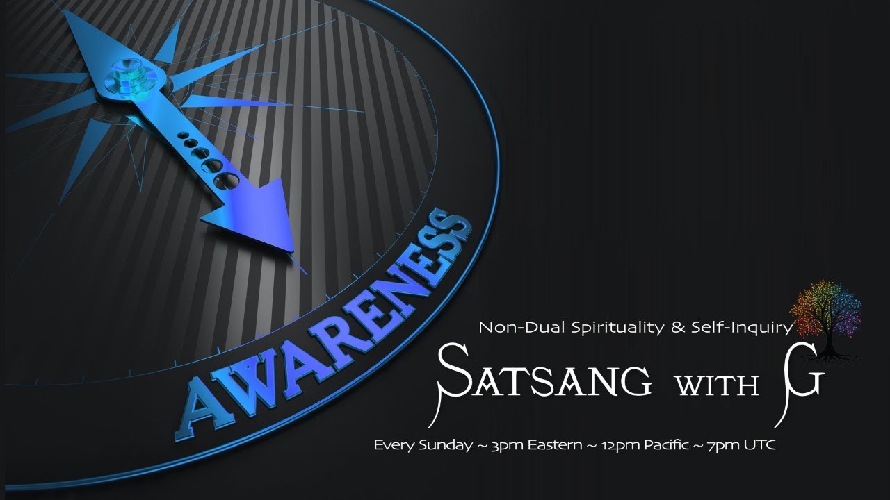 The Harmonious Human - Satsang with G