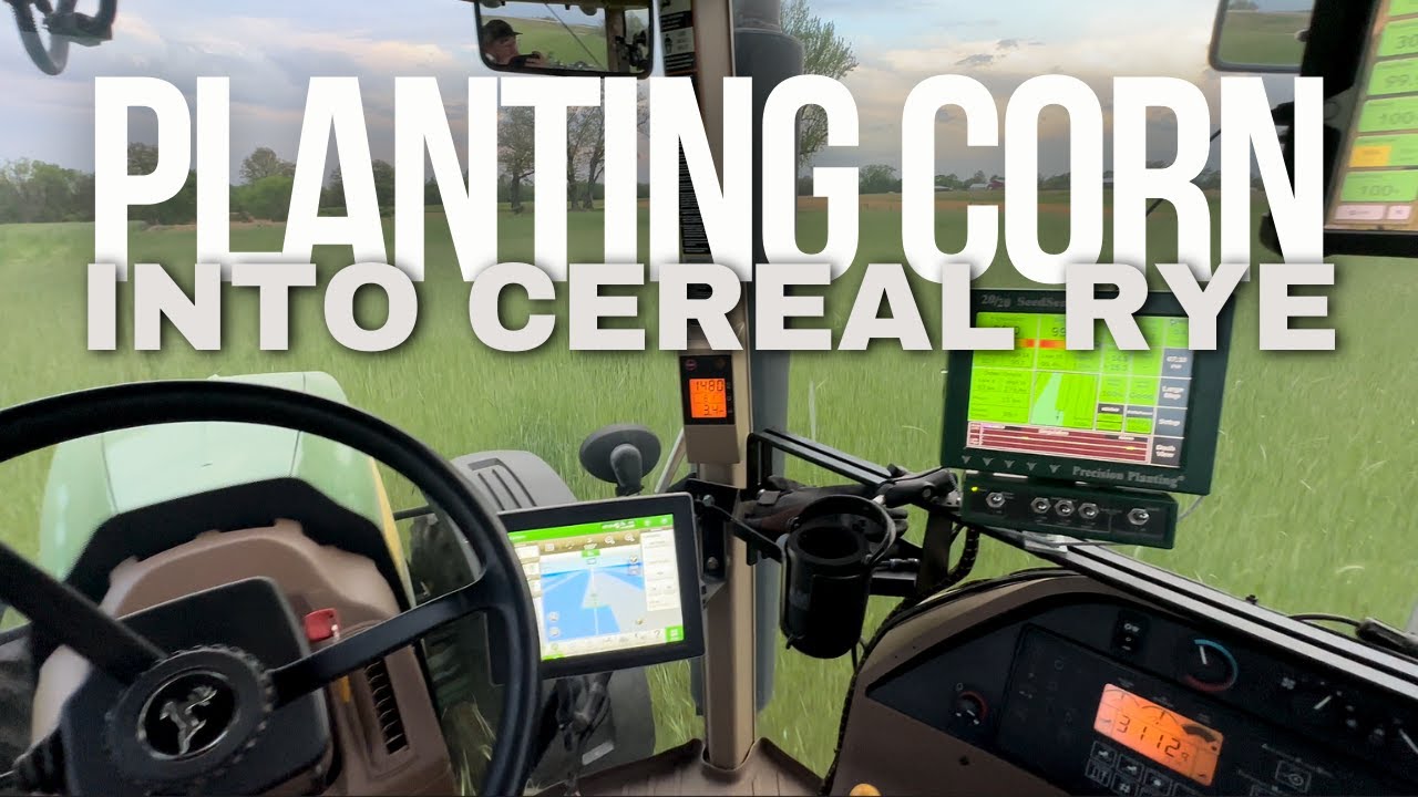 Planting Corn into Cereal Rye - April 15, 2024