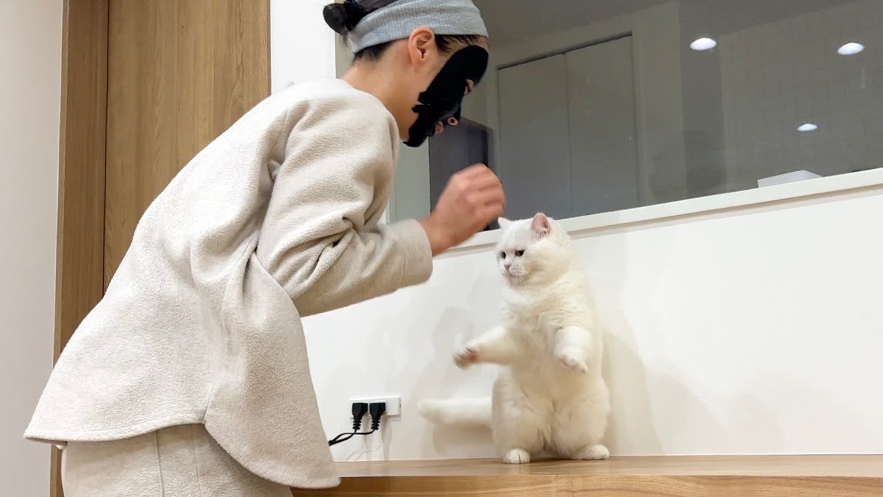 黒パックをしたら猫に不審者扱いされました…泣