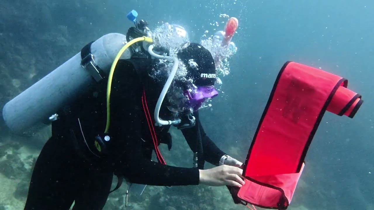 #diving #philippines #lobsterrock