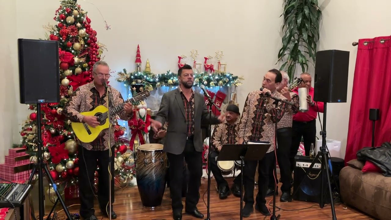 Los Inolvidables - Musica Jibara 2024 #1